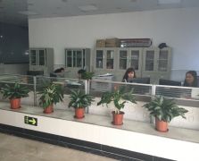 水果视频色版展示