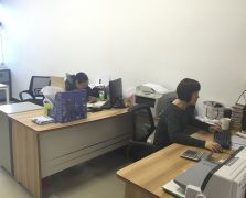 水果视频色版展示